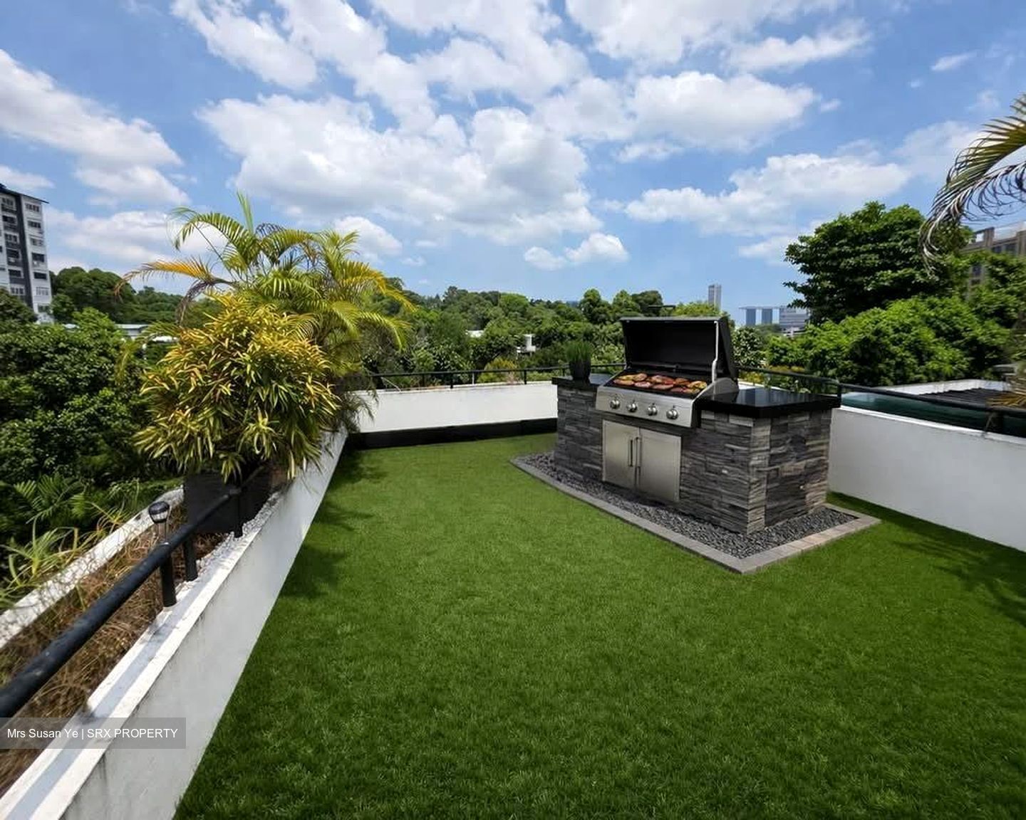 Emerald Hill Road (D9), Detached #573995031